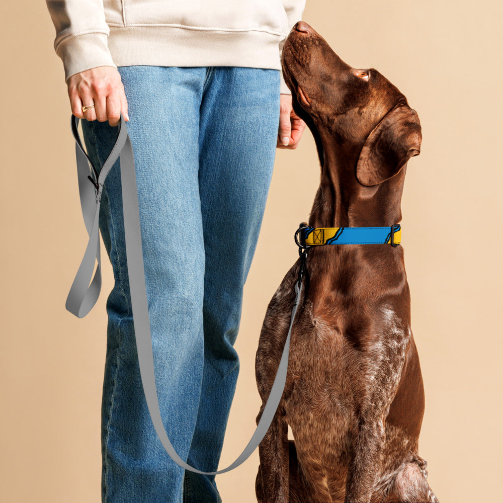 Blue and Yellow Pet Collar