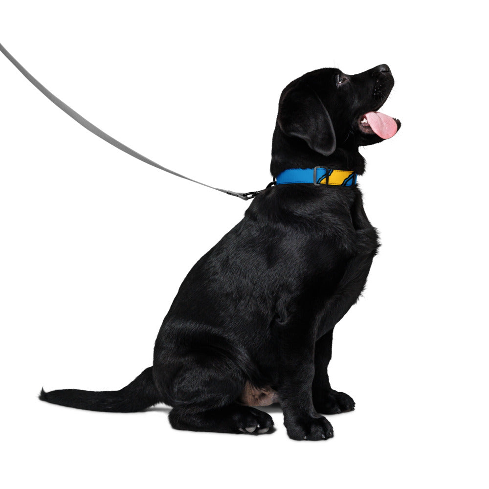Blue and Yellow Pet Collar