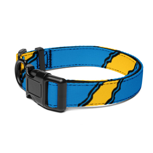 Blue and Yellow Pet Collar