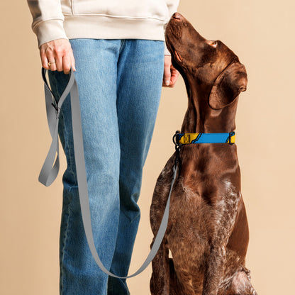 Blue and Yellow Pet Collar